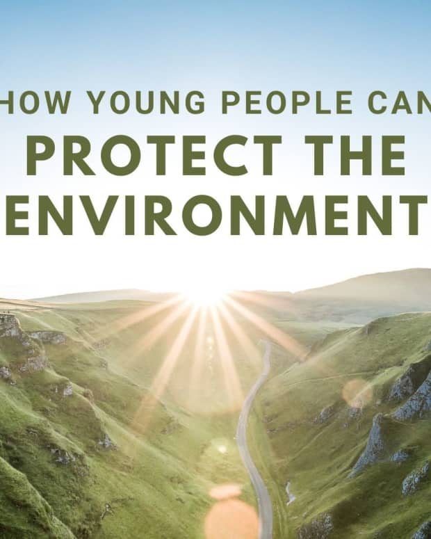 10-ways-a-young-person-can-help-the-environment-today