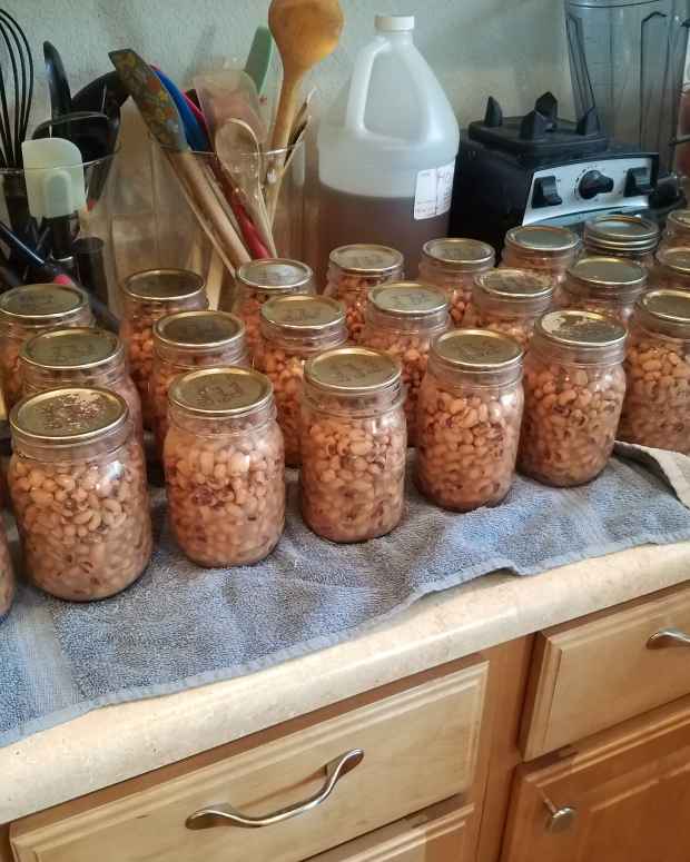 How to Pressure Can Black Beans A StepbyStep Photo Guide Delishably