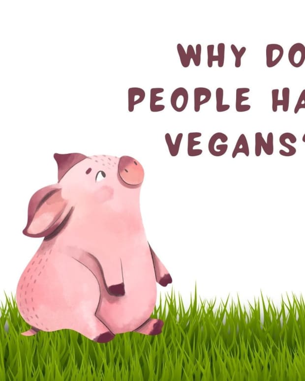 why-do-people-hate-vegans