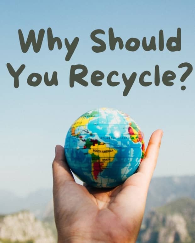 top-five-reasons-why-you-need-to-recycle