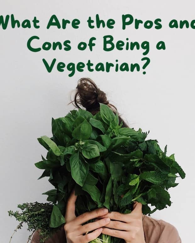 the-pros-and-cons-of-vegetarianism