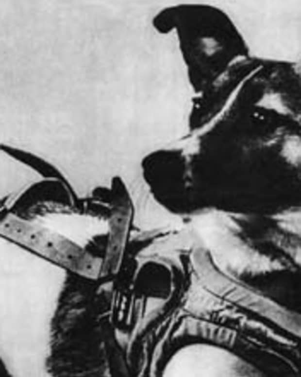 laika-first-dog-in-space