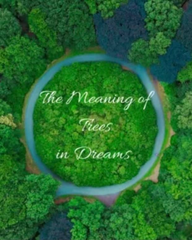 the-meaning-of-dreams-about-trees-dream-interpretation-and-dream-symbols