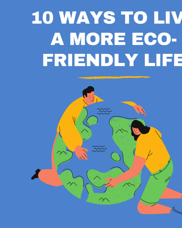 what-it-means-to-be-eco-friendly