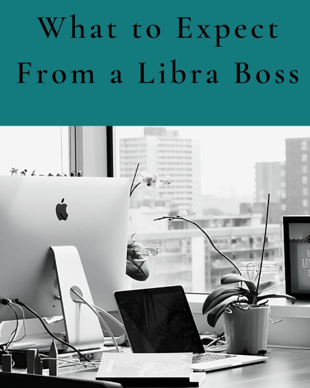 working-for-a-libra-boss-its-a-war-zone-of-indecision