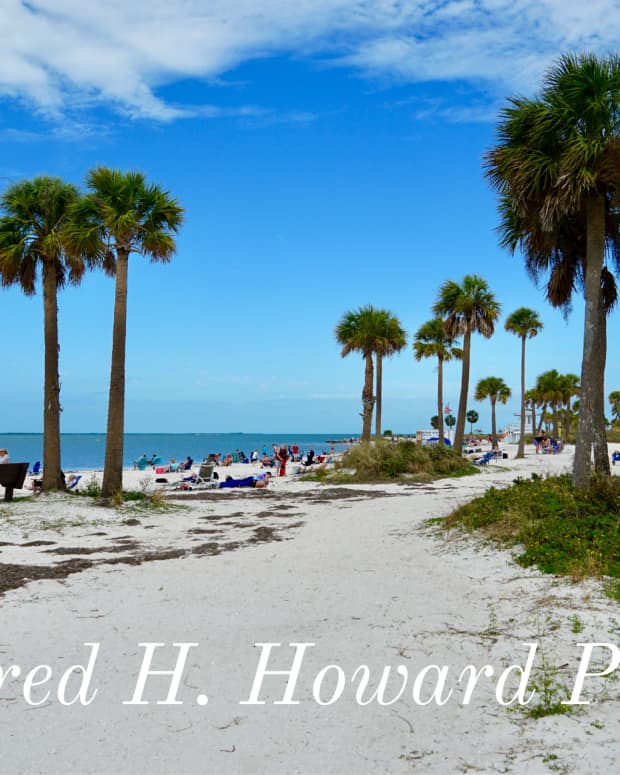 fred-howard-park-hidden-gem-of-floridas-gulf-coast