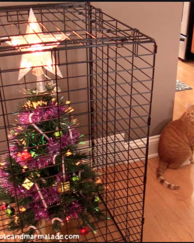 how-to-keep-a-cat-out-of-christmas-tree