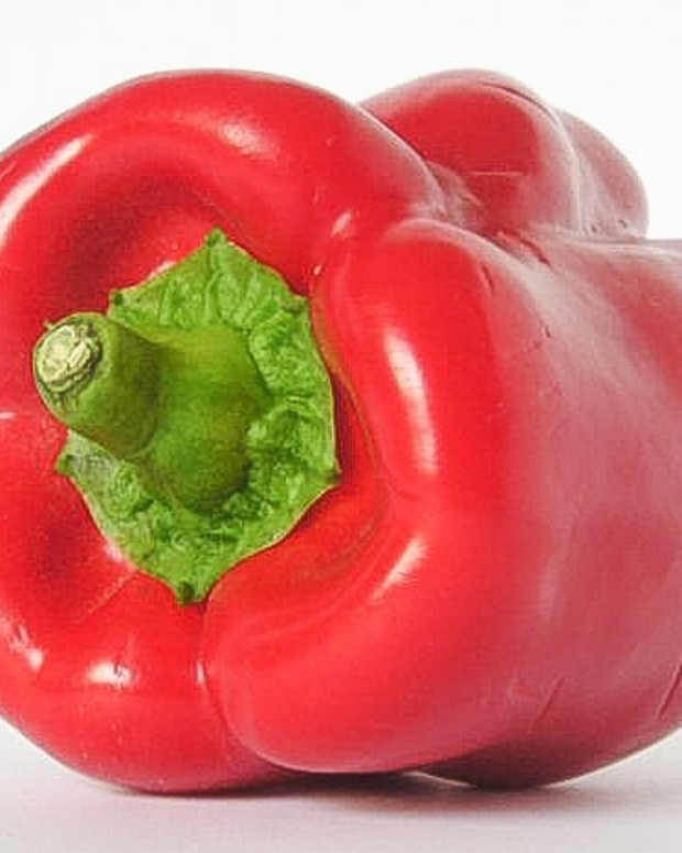 two-red-peppers-for-health-bell-cayenne-sweet-and-hot