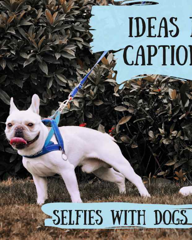 250 Short Captions For Selfies TurboFuture