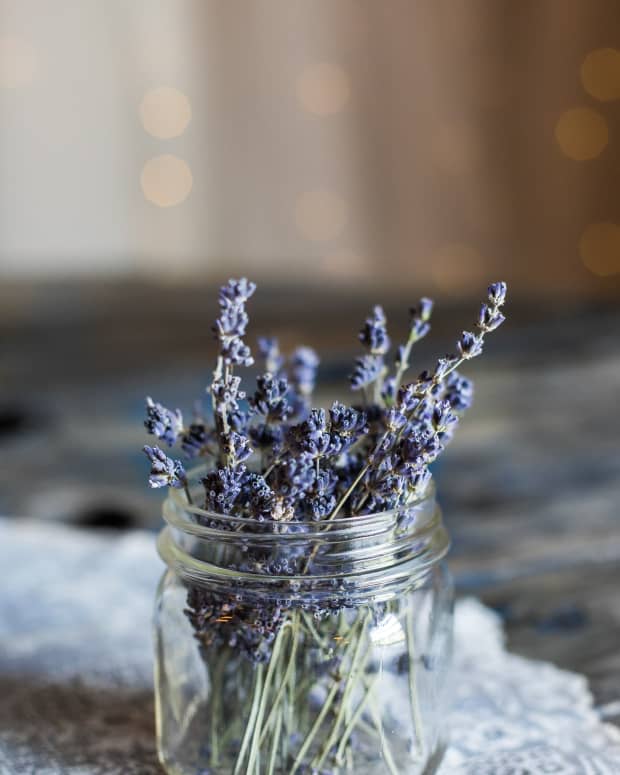using-lavender-in-dreamwork