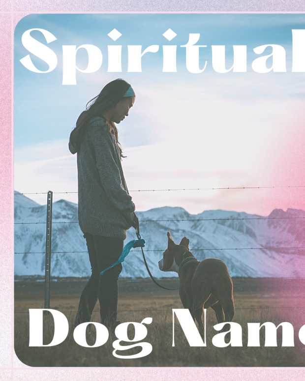 80 Japanese Dog Names Male & Female (From Akio to Yuri) PetHelpful