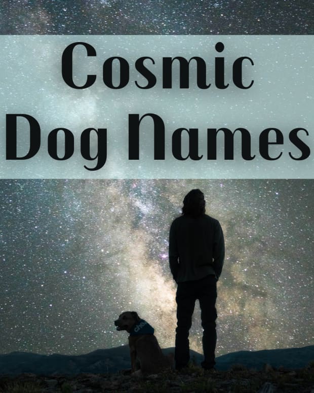 cosmic-names-for-dogs-from-the-cosmos-and-science