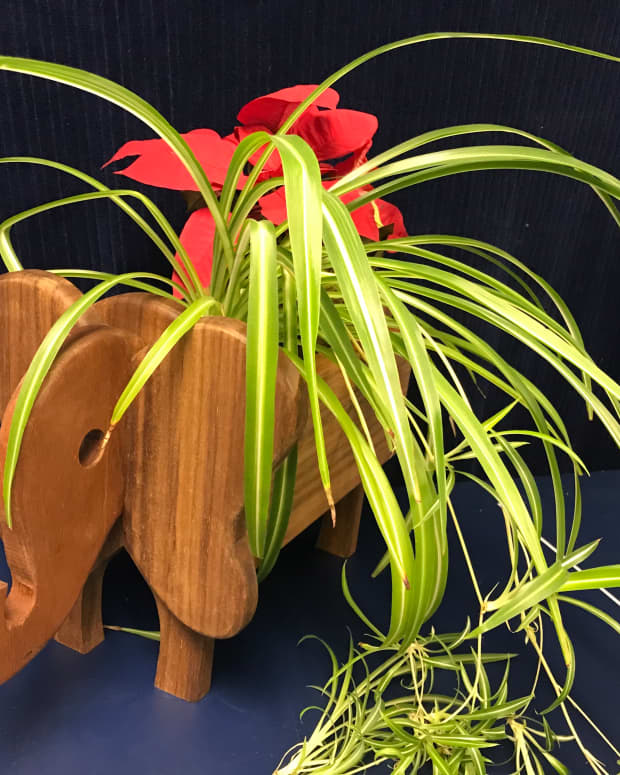 how-to-make-a-wooden-elephant-planter-box