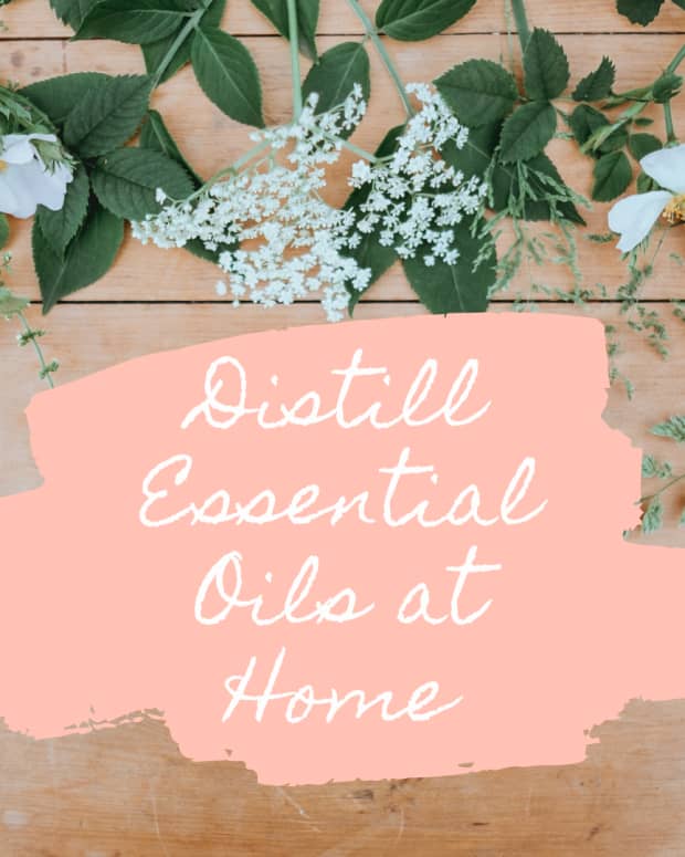 how-to-distill-essential-oils
