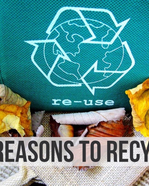 10-reasons-why-you-should-recycle-your-waste