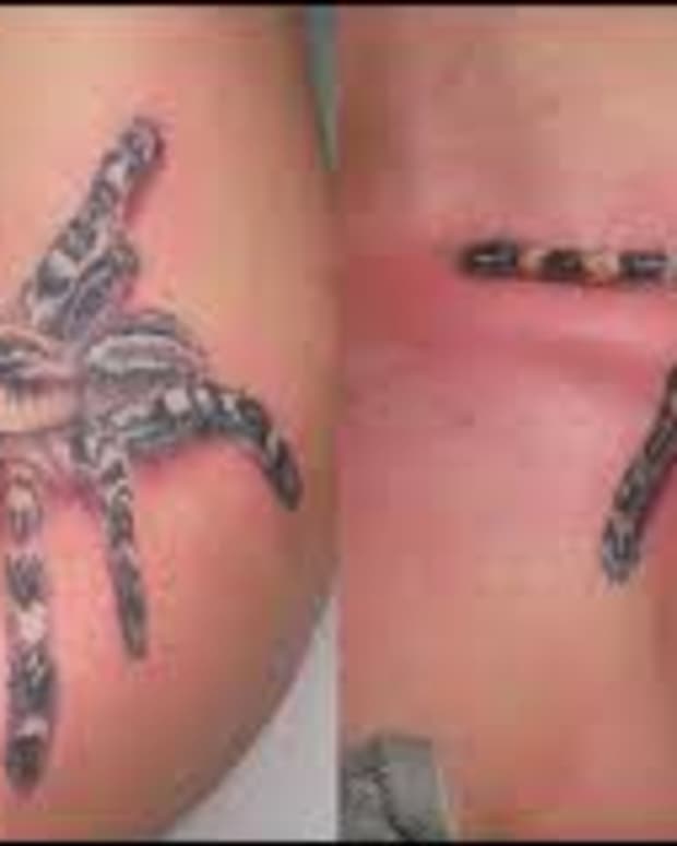 spider-tattoos-and-meanings-spider-web-tattoos-and-meanings-spider-tattoo-designs-and-ideas