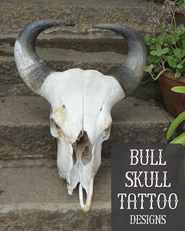 bull-skull-tattoos-and-designs-bull-skull-tattoo-meanings-ideas-and-pictures