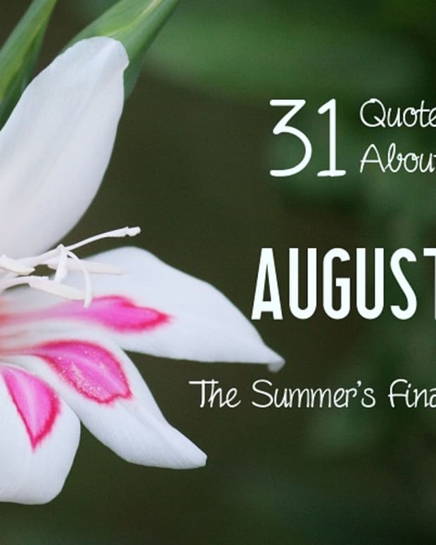 31-quotes-about-august-the-summer-finale