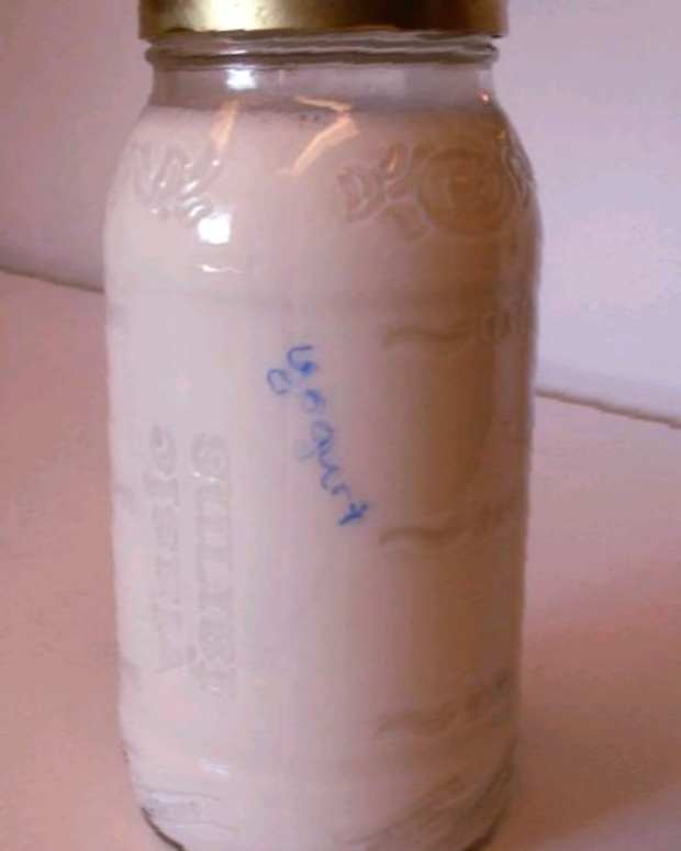 How to Make Yogurt StepbyStep Guide With Pictures Delishably