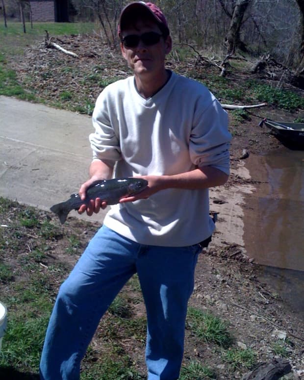This is a 14 inch rainbow trout, caught from the Niangua River just below Bennett Springs in Lebanon MO.