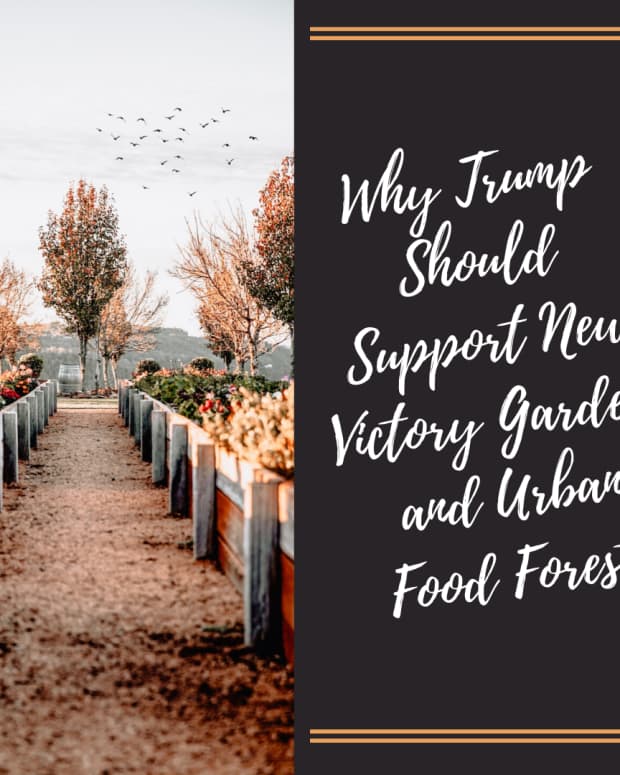 food-shortages-time-for-trump-to-announce-new-victory-gardens-and-urban-food-forests-push