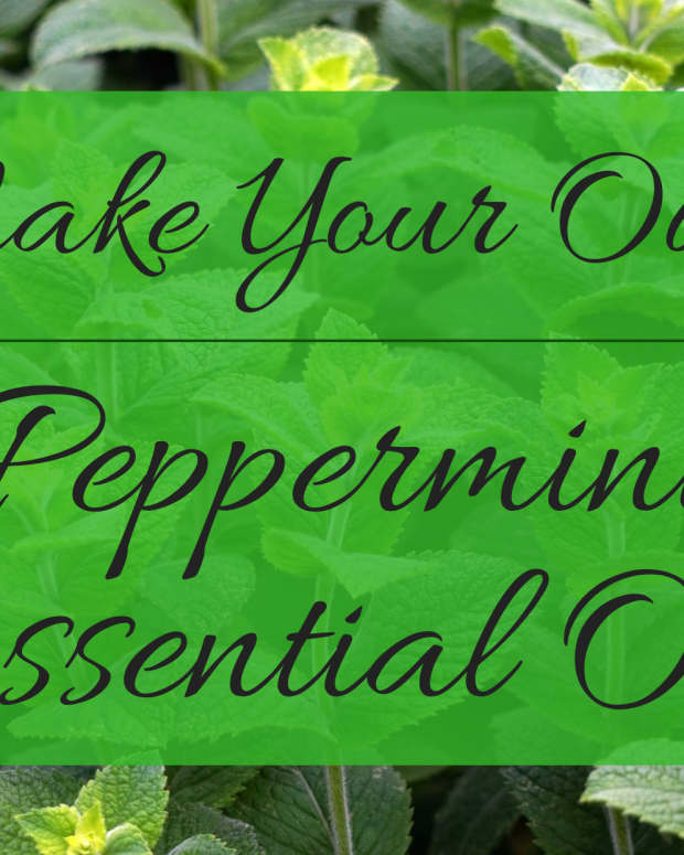 how-to-make-your-own-peppermint-essential-oil