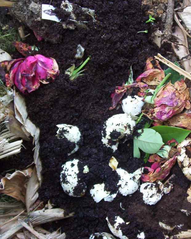 How to Revive and Restart an Old Compost Pile Dengarden