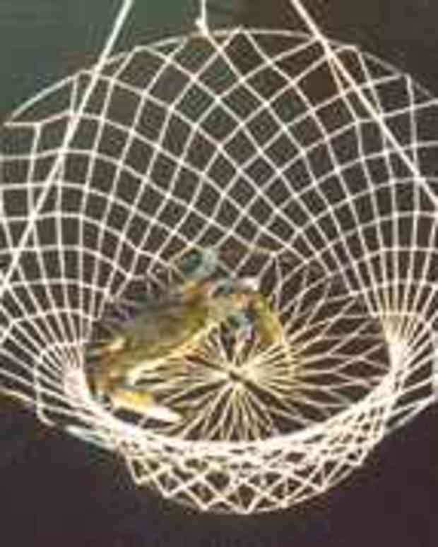 Build Your Own PVC Crab or Lobster Trap SkyAboveUs Outdoors