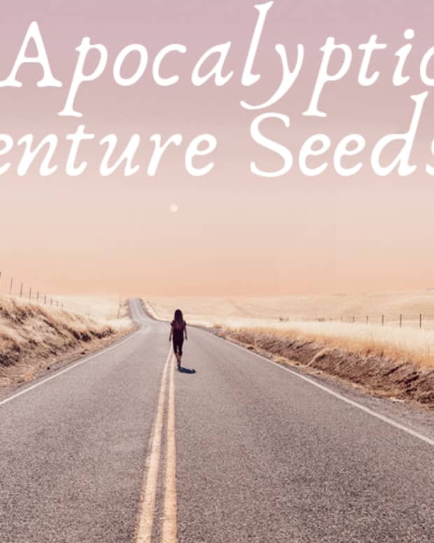 11-post-apocalyptic-adventure-seeds