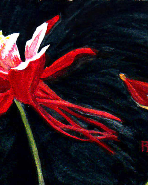 Columbine, 4" x 6" watercolor on cold press watercolor paper by Robert A. Sloan. The finished painting for this step by step demonstration.