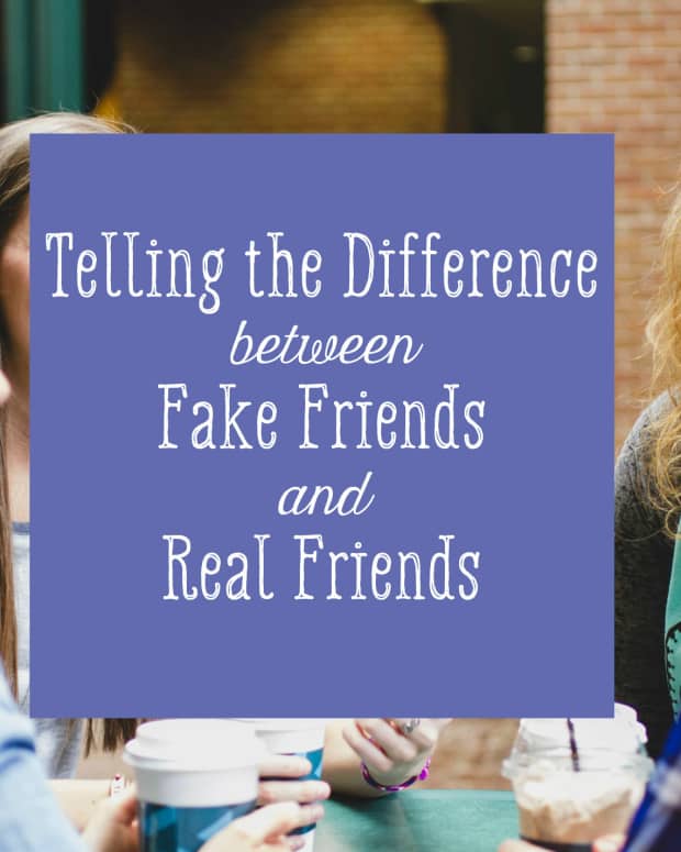 The Difference Between a Friend and a Companion PairedLife