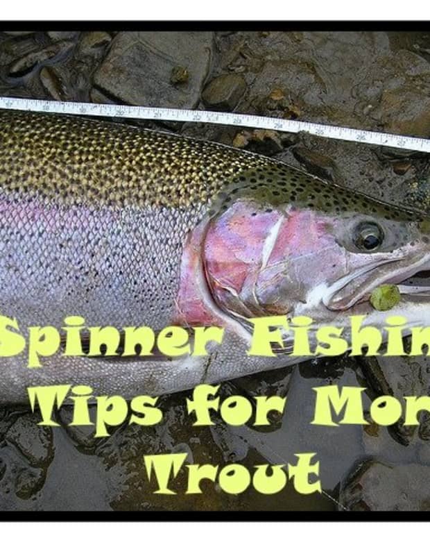 spinner-fishing-for-trout