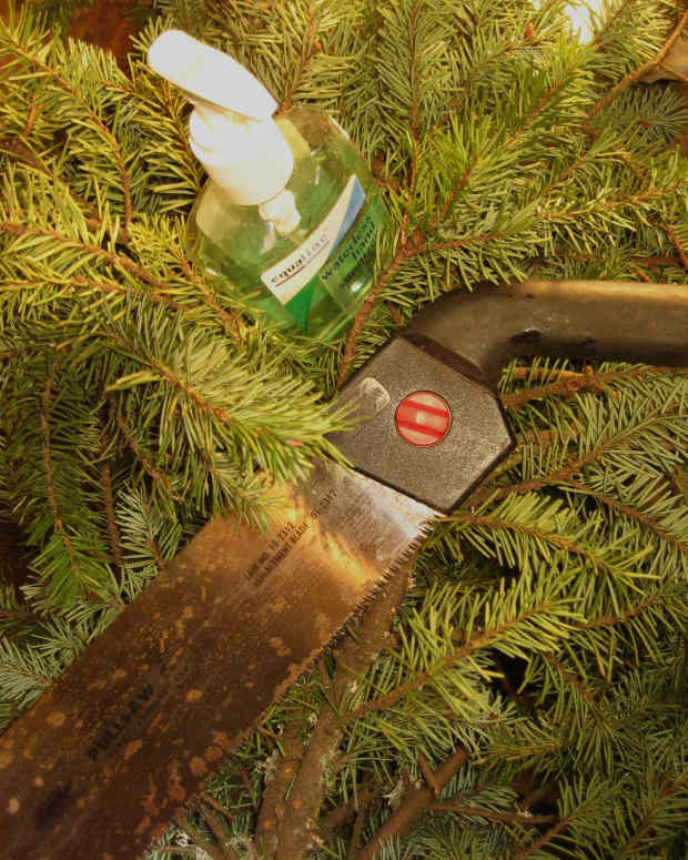 How to Get Superglue off Glass (With and Without Acetone) Dengarden