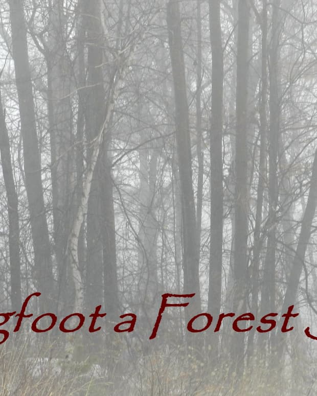 bigfoot-forest-spirit
