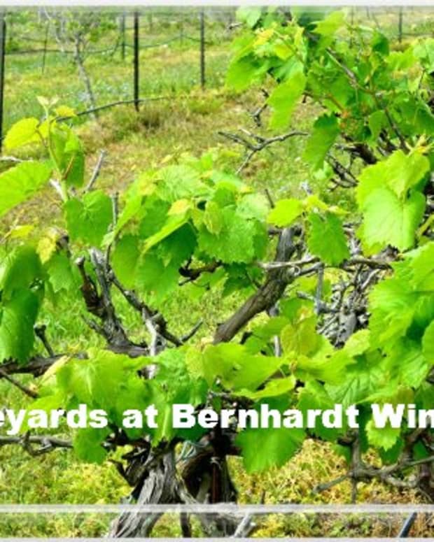 texas-bluebonnet-wine-trail-bernhardt-winery