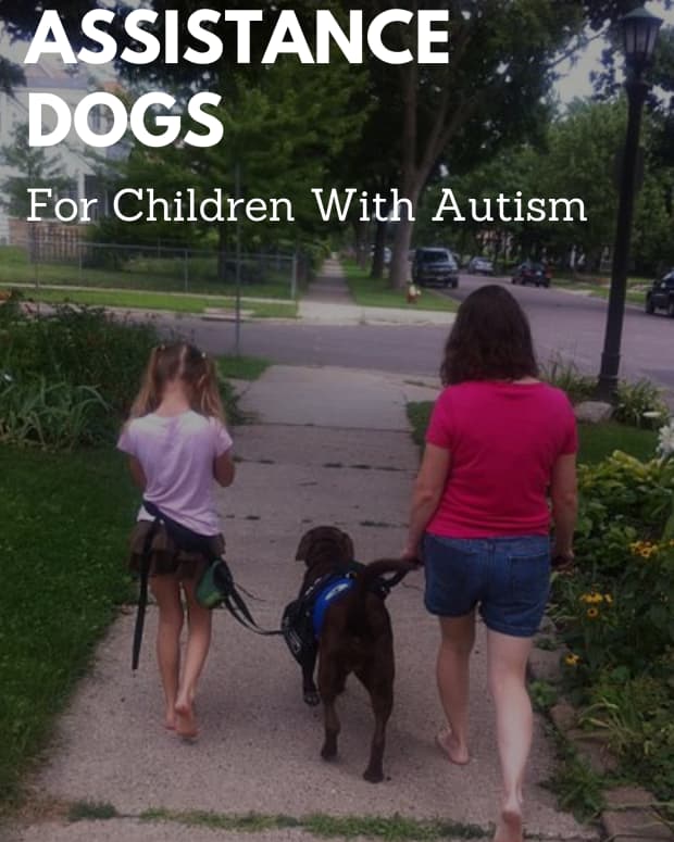 assistance-dogs-for-families-of-children-with-autism-aspergers-syndrome