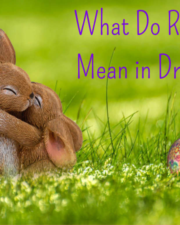how-to-interpret-rabbits-as-dream-symbols