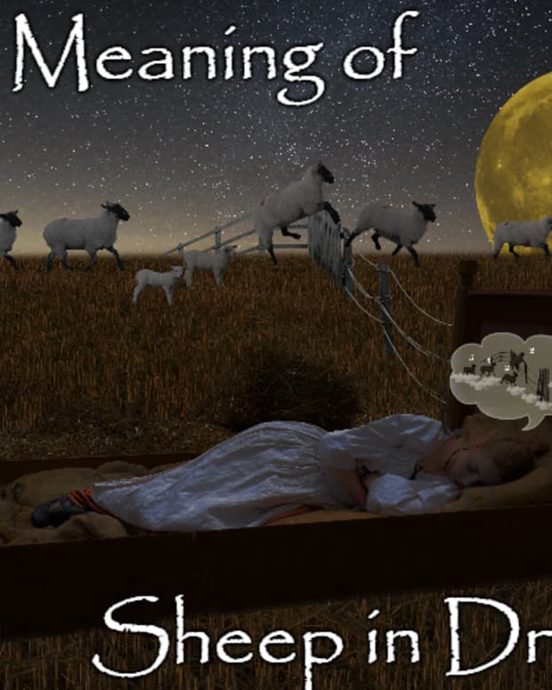 what-lambs-and-sheep-mean-in-dreams