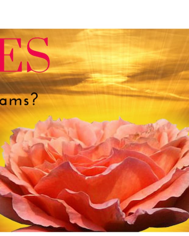 what-do-roses-mean-in-dreams