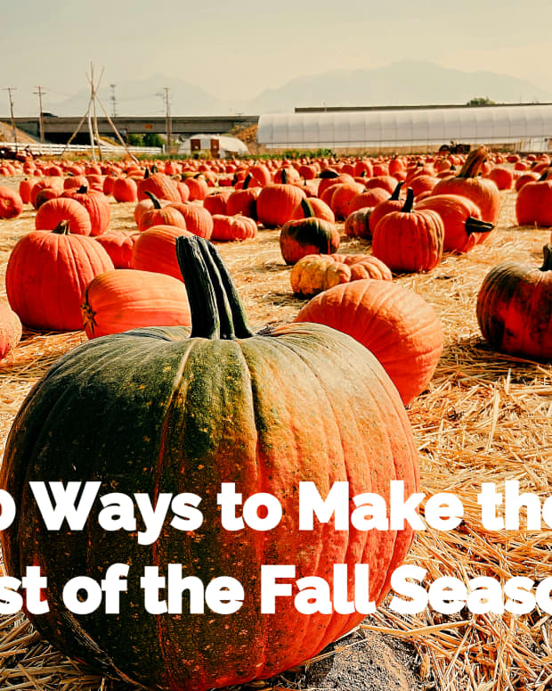 10-reasons-why-i-love-fall-season