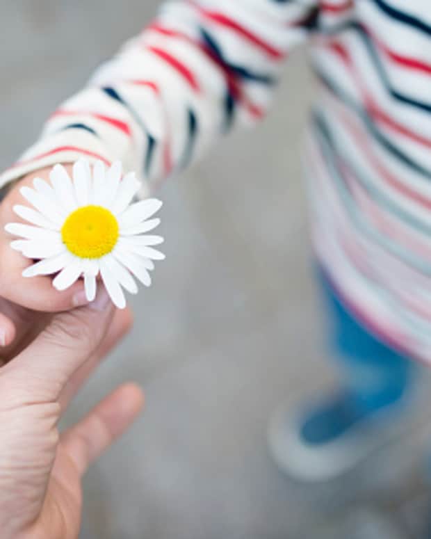 to-the-person-who-cares-too-much