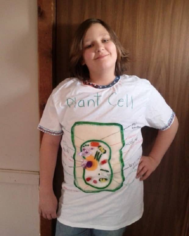 plant-cell-model-project-a-wearable-t-shirt