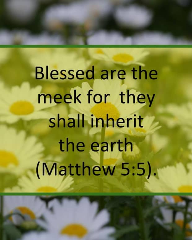 a-look-at-the-beatitudes-blessed-are-the-meek