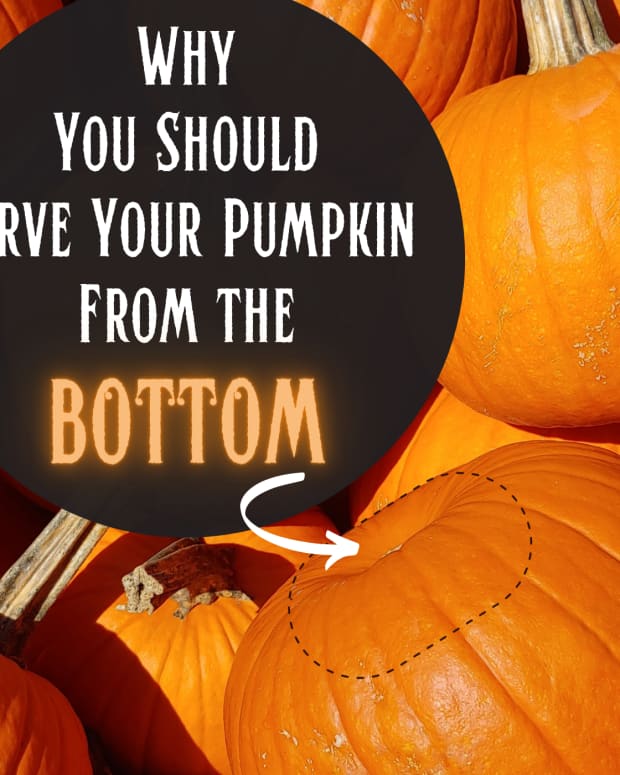 reasons-to-cut-pumpkin-from-bottom