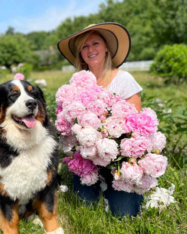 how-to-plant-peony-tubers-in-the-fall