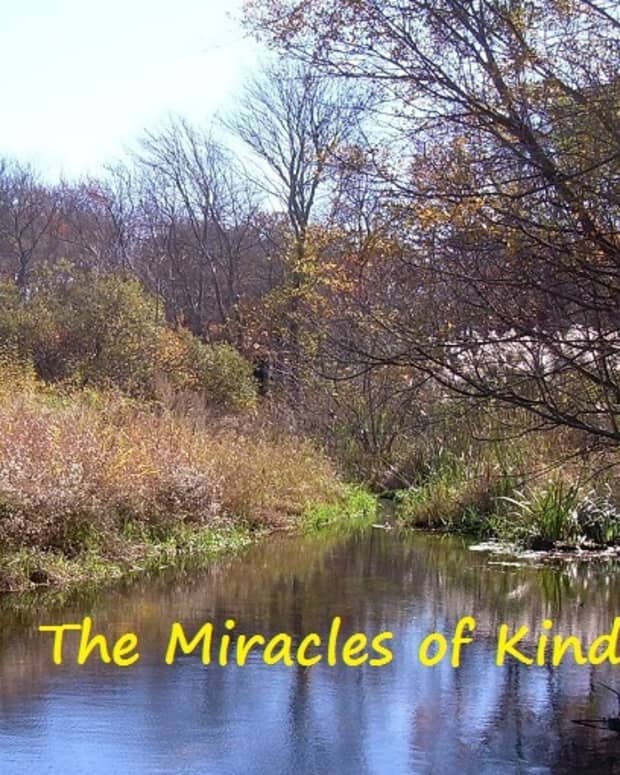 the-miracle-of-kindness