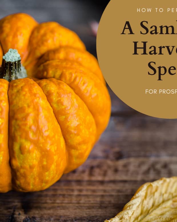 a-samhain-harvest-spell-bring-prosperity-into-your-life
