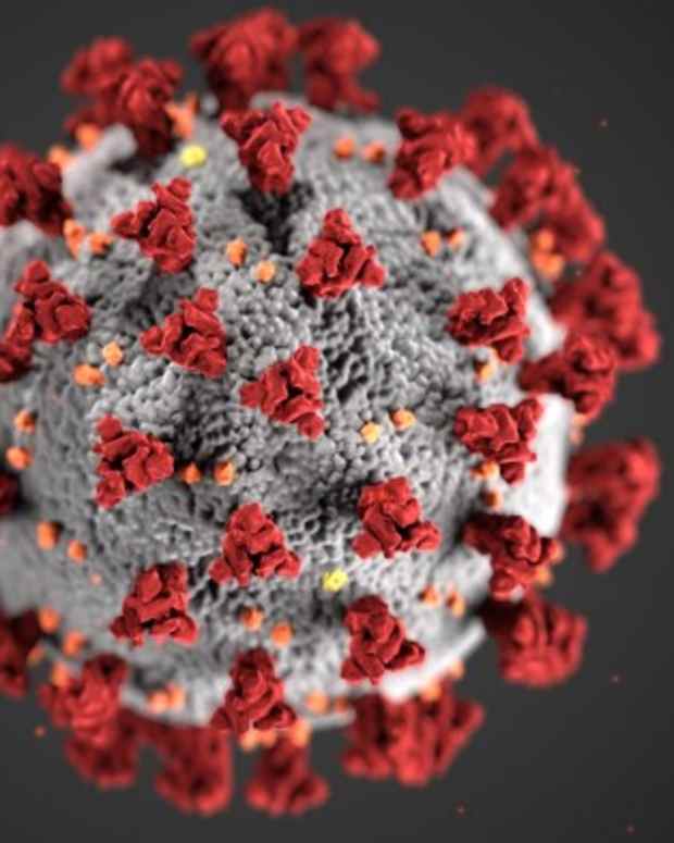 did-covid19-change-our-lifestyle