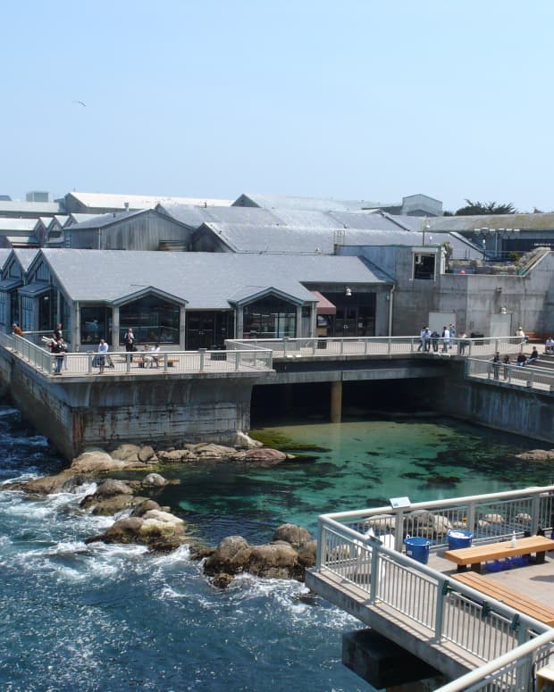 things-to-do-in-monterey-california