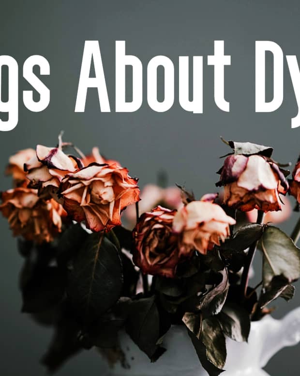 songs-about-dying